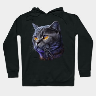 Neon British Shorthair Cat Hoodie